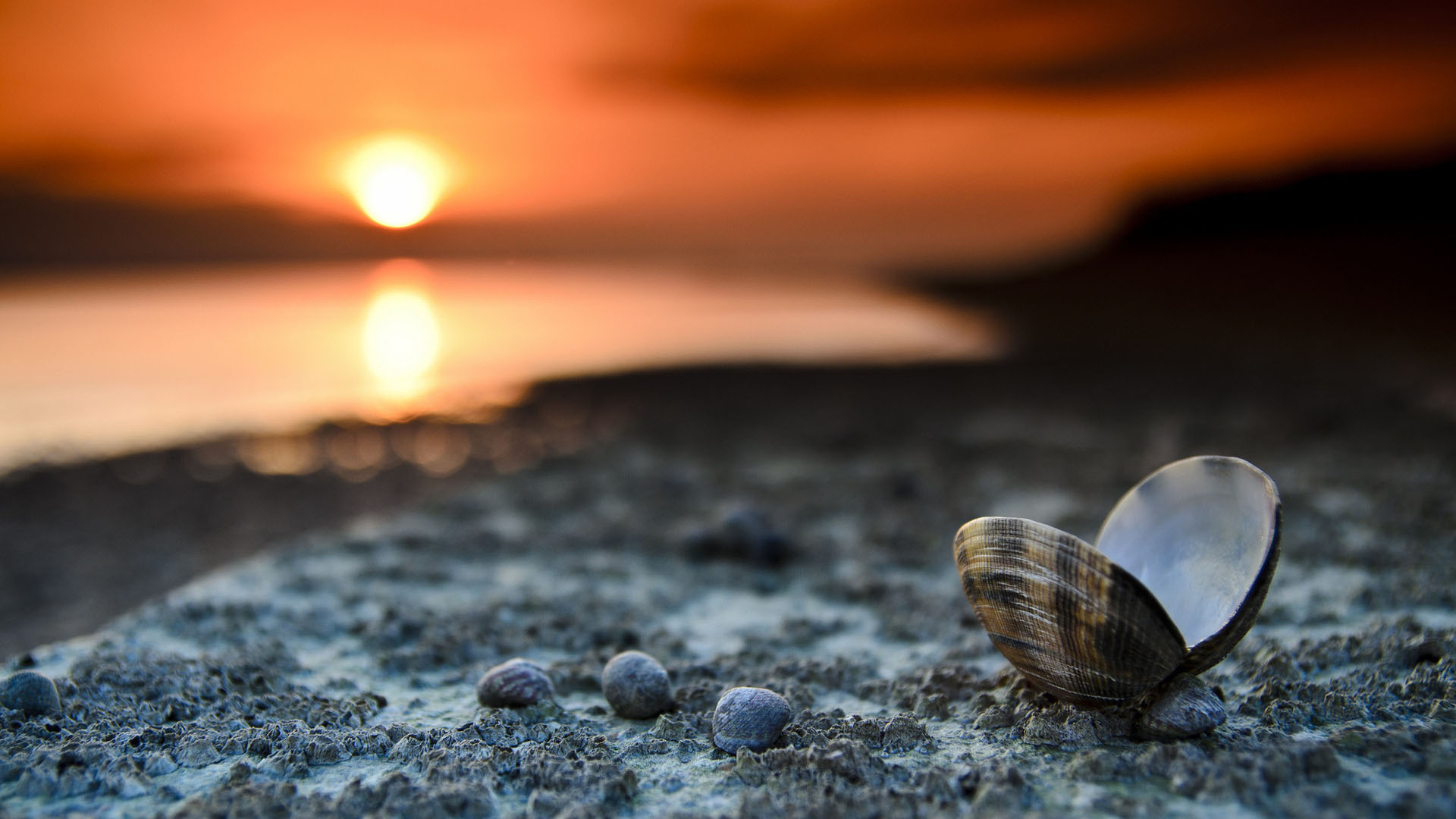 Wallpaper #7 - Praias tropicais